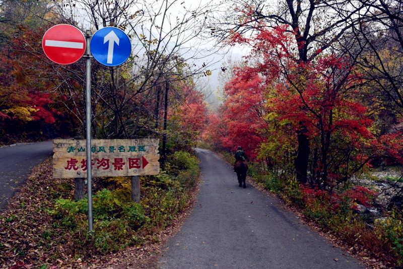 青山沟旅游